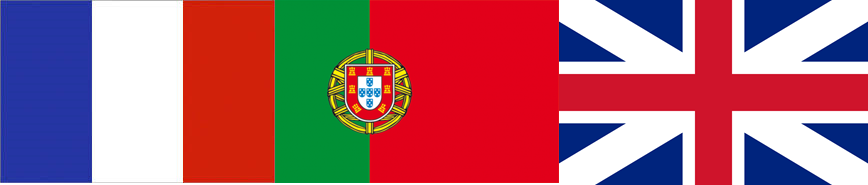 Portuguese translator