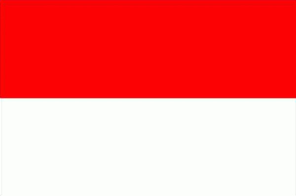 indonesian translator