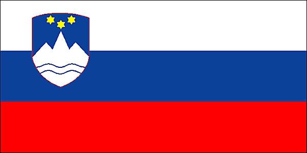 Traduttore sloveno