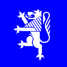 SWORN TRANSLATOR LOCARNO