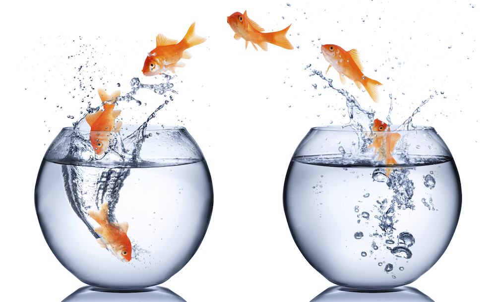 RELOCATION SERVICES